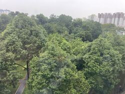 Blk 536 Panshan Grove (Bukit Panjang), HDB 5 Rooms #568232501